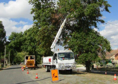 Arboriculture & Tree Services