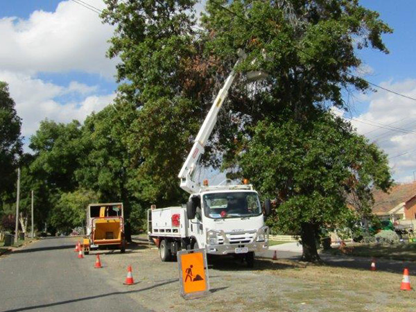 Tree Services Ballarat